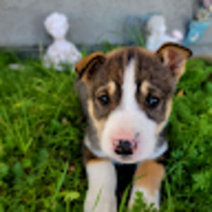 Meet your Posher, Kylee